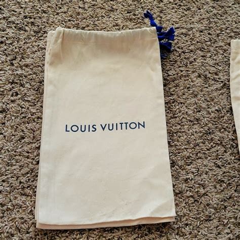 louis vuitton storage bag